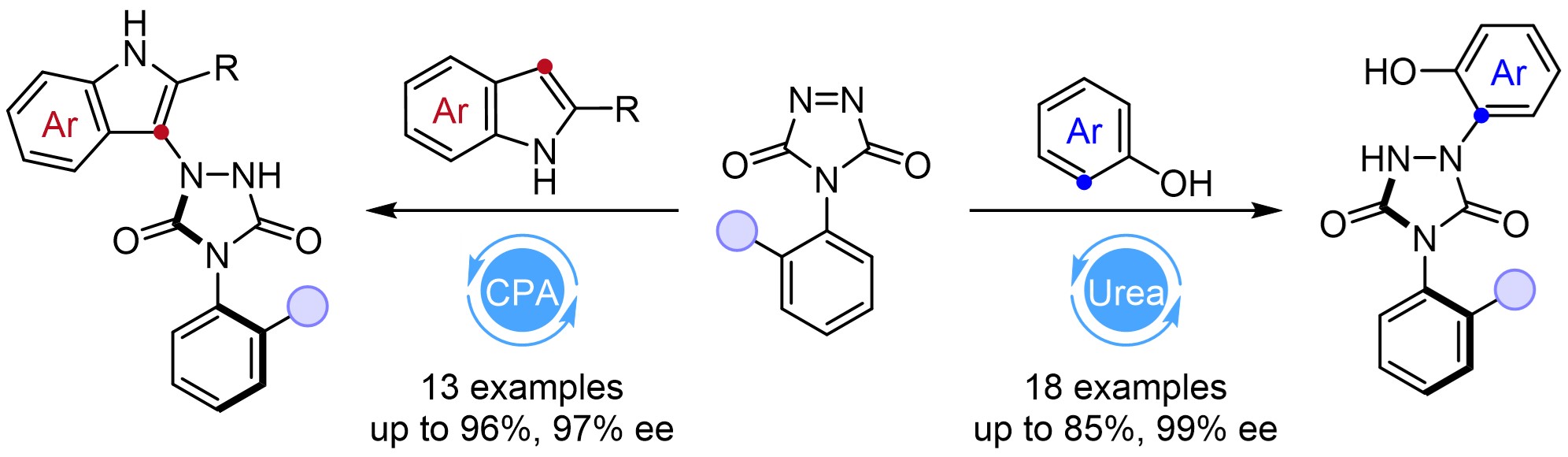 Discovery and enantiocontrol of axially chiral urazoles via organocatalytic tyrosine click reaction