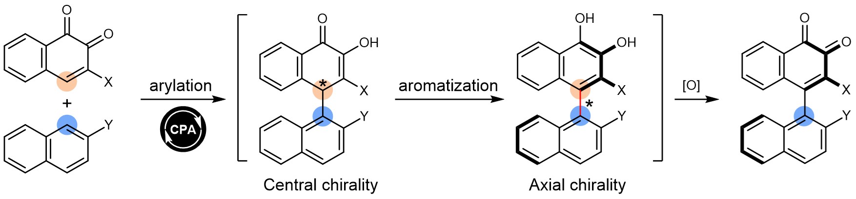 Organocatalytic atroposelective construction of axially chiral arylquinones
