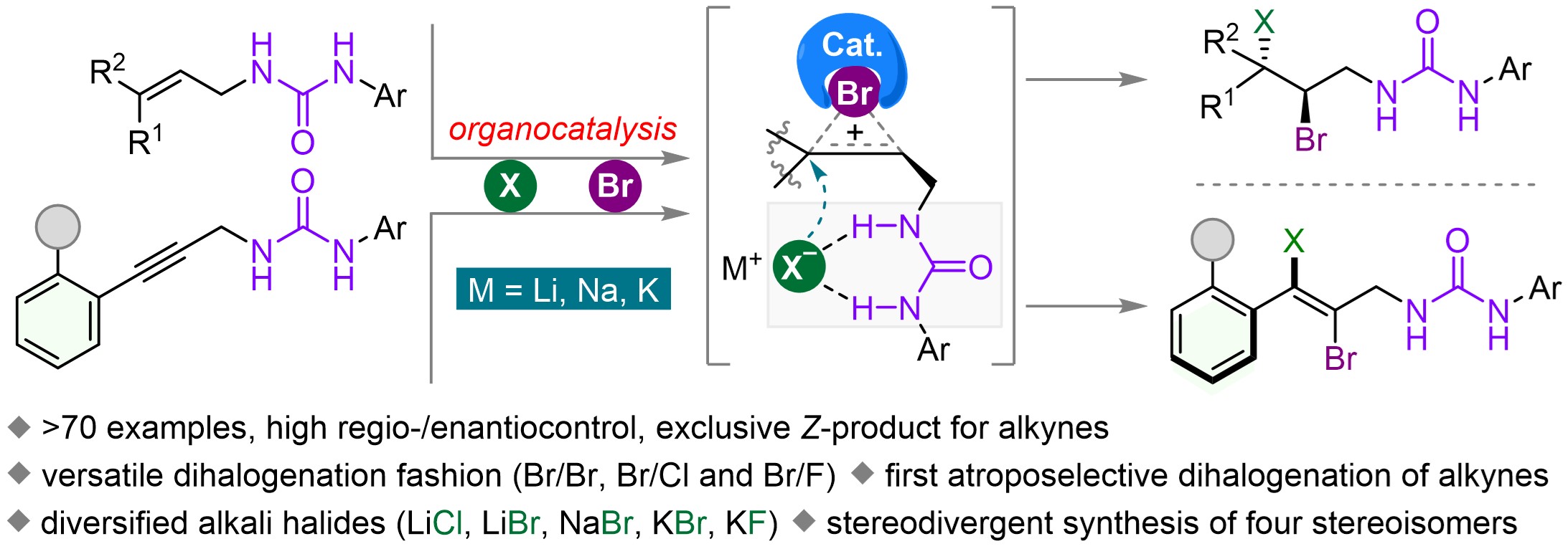 Urea group-directed organocatalytic asymmetric versatile dihalogenation of alkenes and alkynes